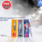 NGK Spark Plugs