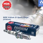 NGK Spark Plugs