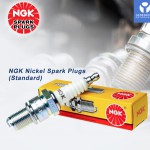 NGK Spark Plugs