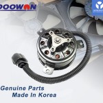 Doowon Fan Motor